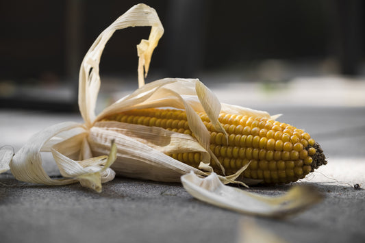 Corn Meal