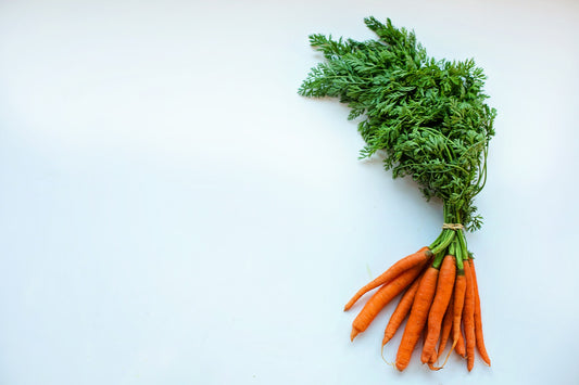 Carrot Seed Oil