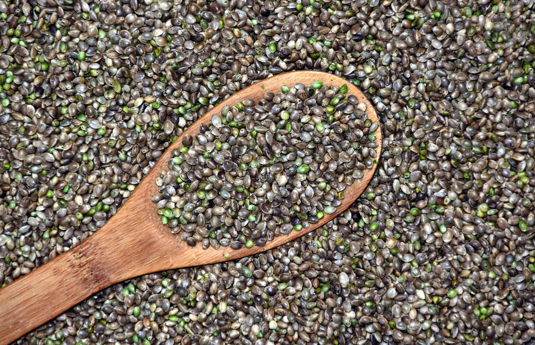 Hemp Seed Oil