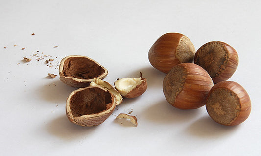 Hazel Seed Oil