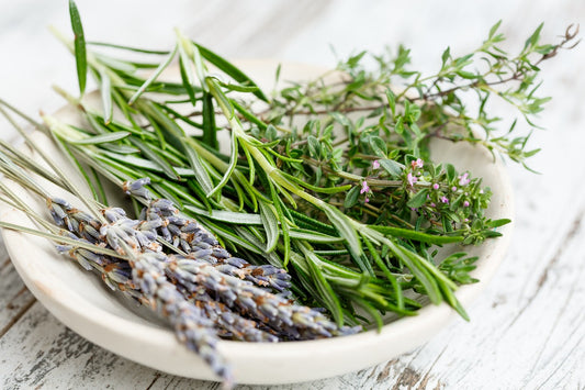 Rosemary Leaf Extract