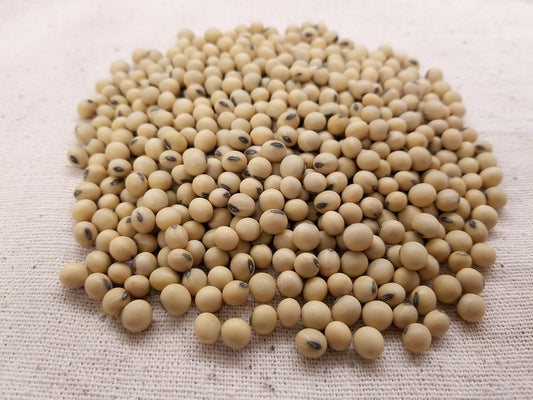Soybean Oil