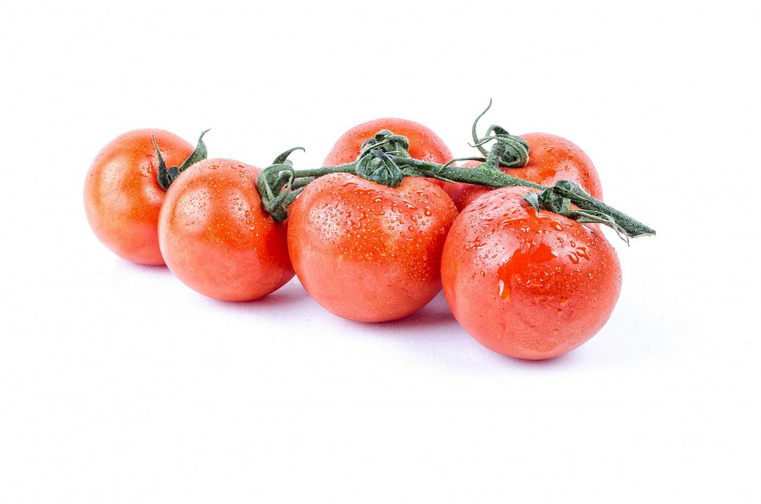 Tomato Seed Oil