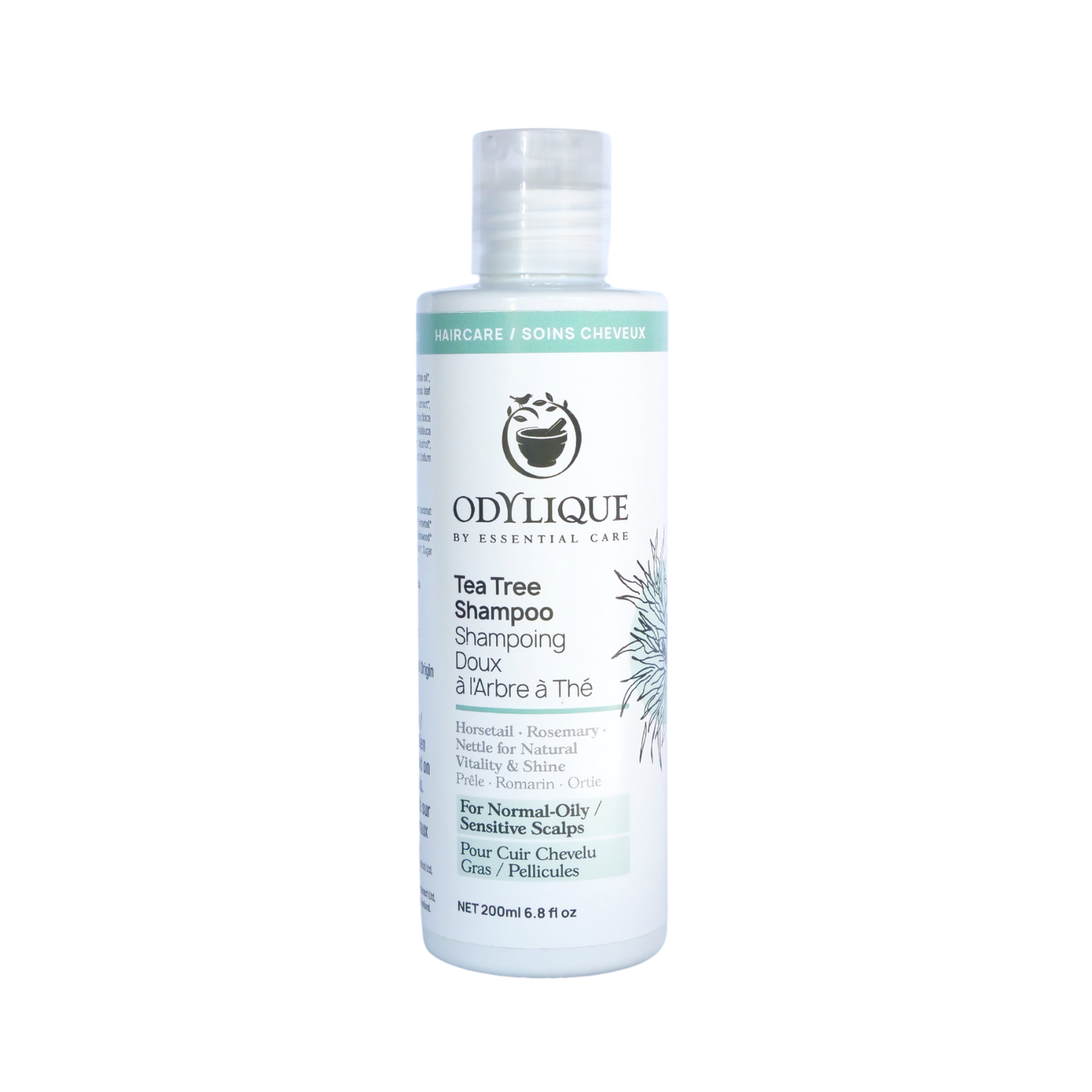 Odylique Tea Tree Shampoo bottle on a white background
