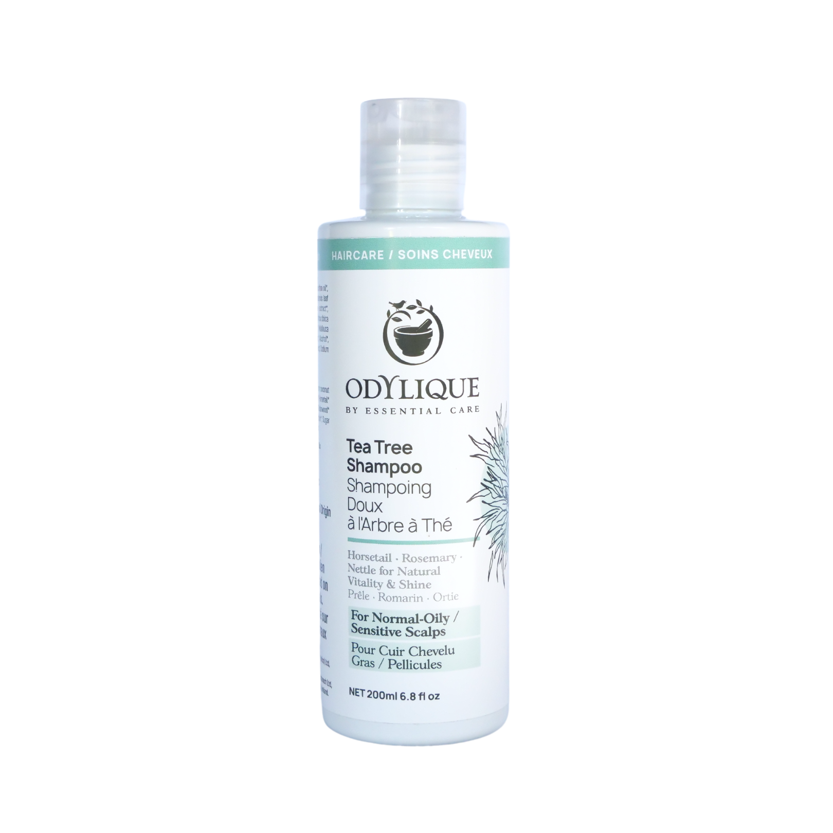 Odylique Tea Tree Shampoo bottle on a white background