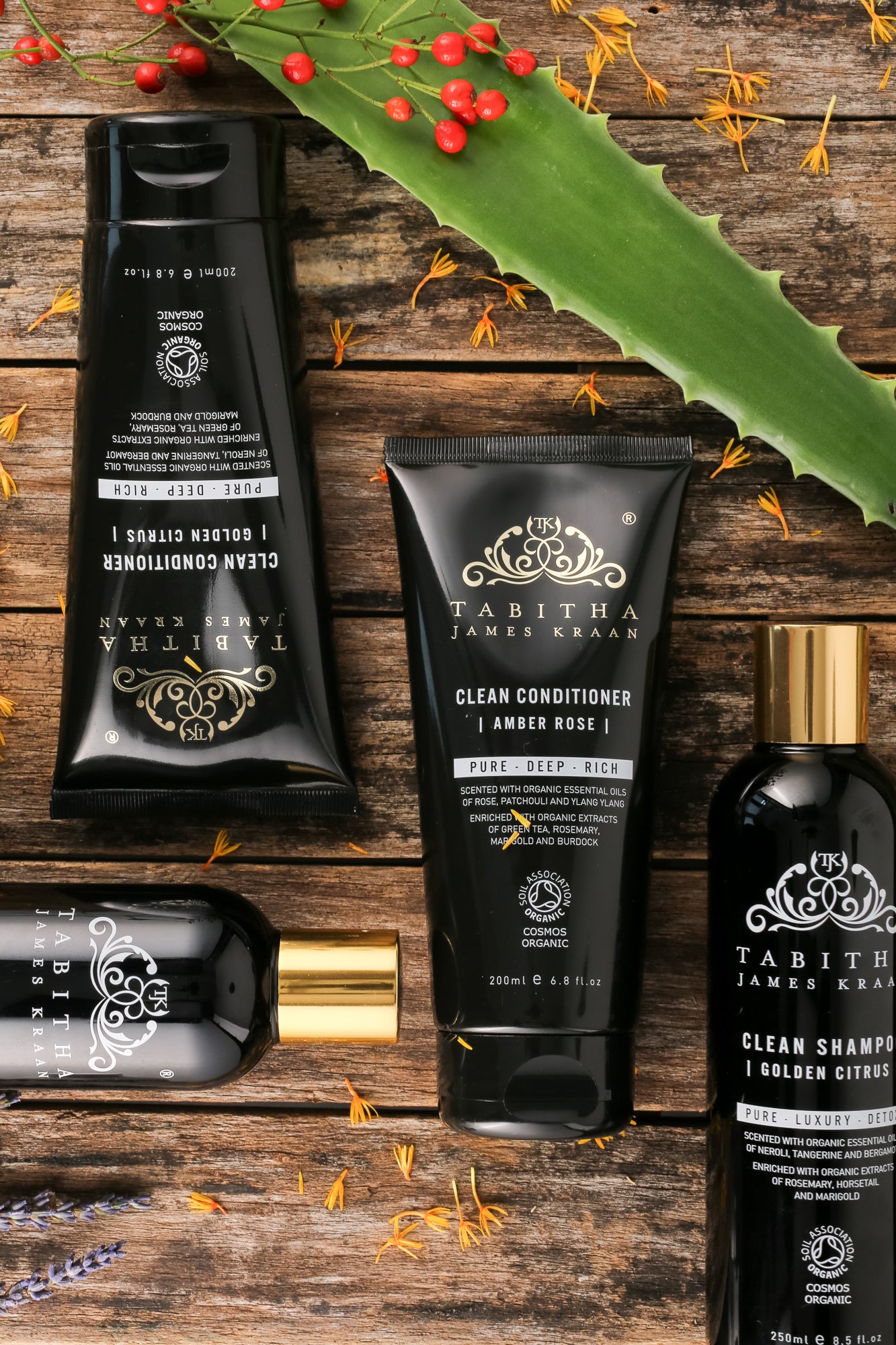 flat lay photo of tabitha james kraan organic hair care products on brown wooden planks with aloe vera and rose hip plants around the black bottles