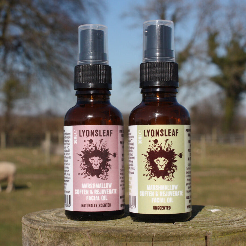 Two bottles of the "LYONSLEAF Marshmallow Soften & Rejuvenate Facial Oil" are placed on a wooden surface outdoors. The bottle on the left is naturally scented, while the one on the right is unscented. A blurred natural background is visible.