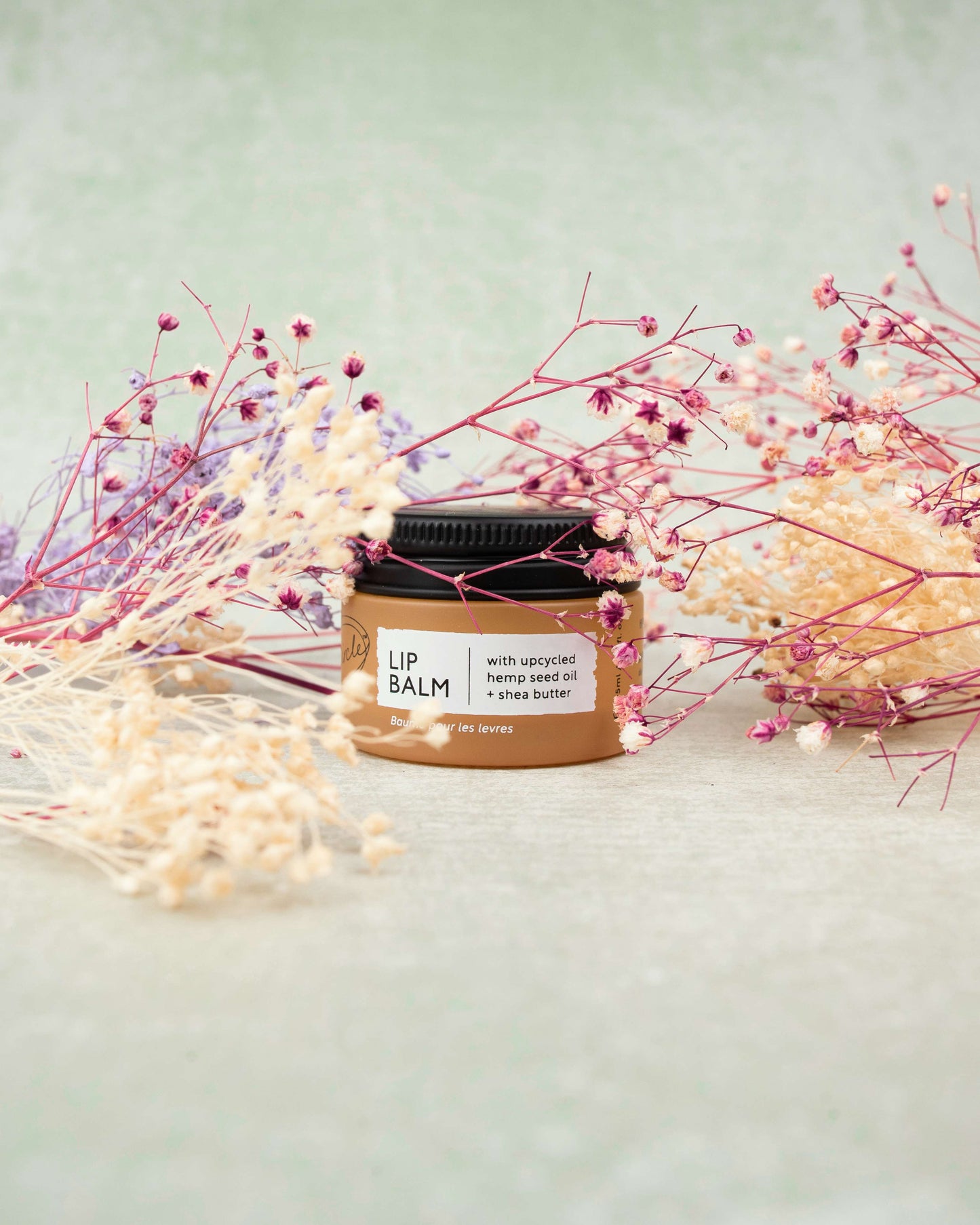 A jar of the upcircle lip balm with a black lid is centered, surrounded by delicate sprigs of dried flowers in pink, purple, and beige hues. The label on the jar reads "Lip Balm with upcycled hemp seed oil + shea butter." The background is a soft green.