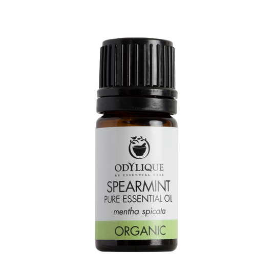 odylique soil association certified organic spearmint essential oil in an amber glass bottle and black recyclable plastic screw cap on a white background. The label is a white background with light green band along the bottom and reads odylique by essential care spearmint pure essential oil mentha spicata organic