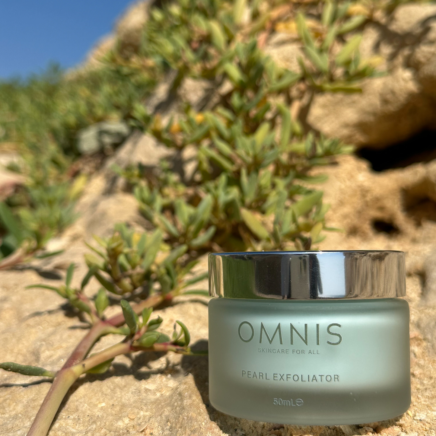 Photo of the Omnis Pearl Exfoliator jar sitting on a pale yellow rock next to the greenery growing out of it 