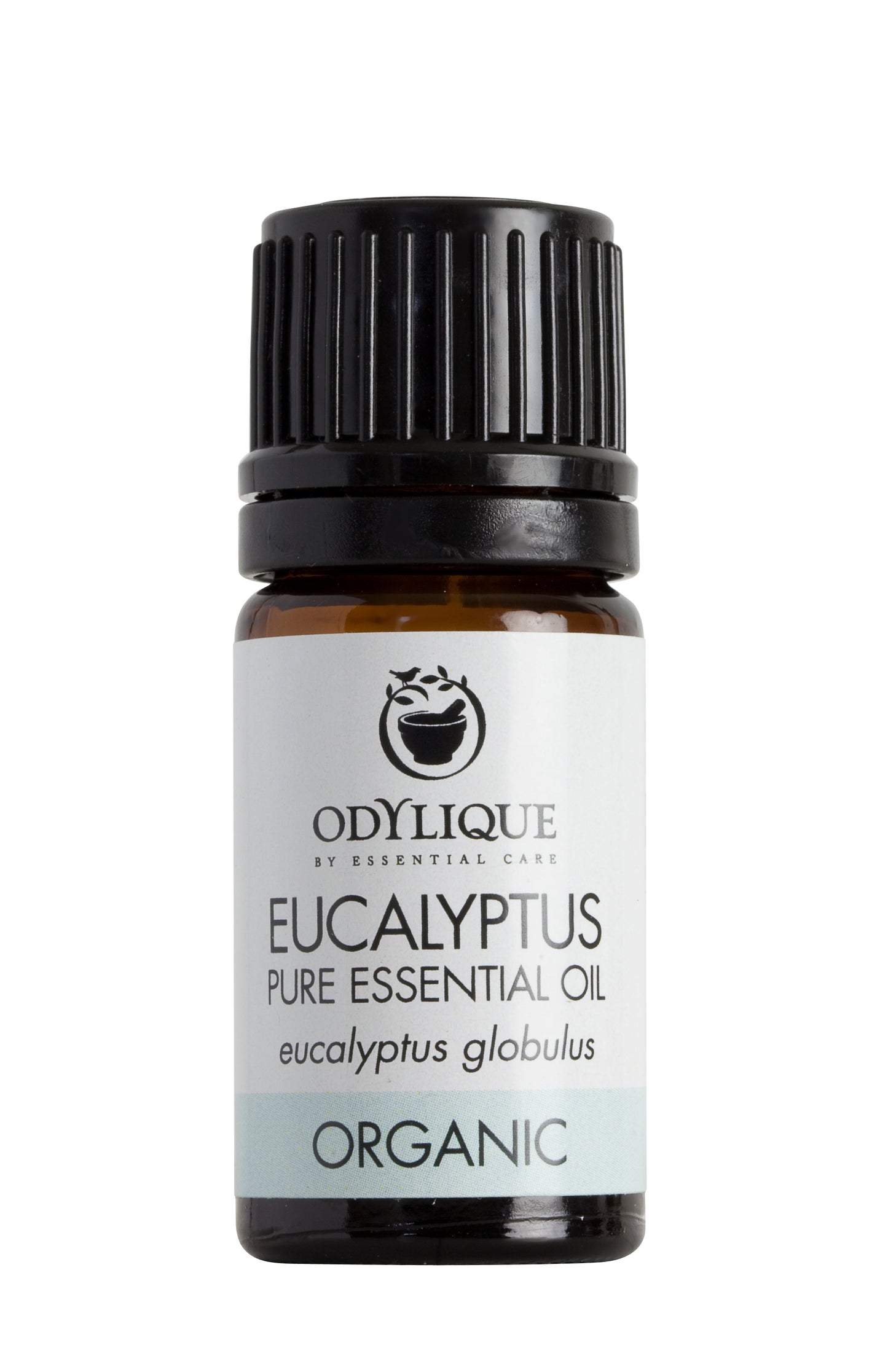 Organic Eucalyptus Essential Oil
