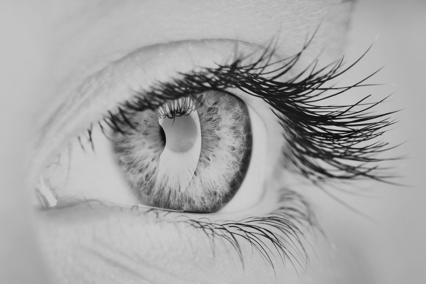 black and white close up photo of an eye with long, beautiful, luscious eye lashes to demonstrate the benefits of the Bowe Organics Lash Oil. 