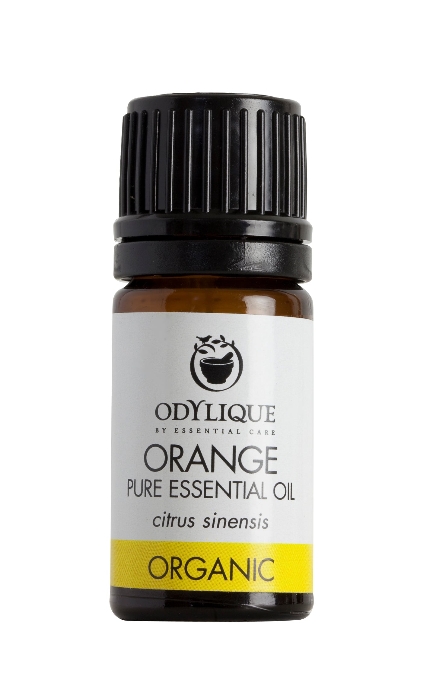Organic Orange Essential Oil