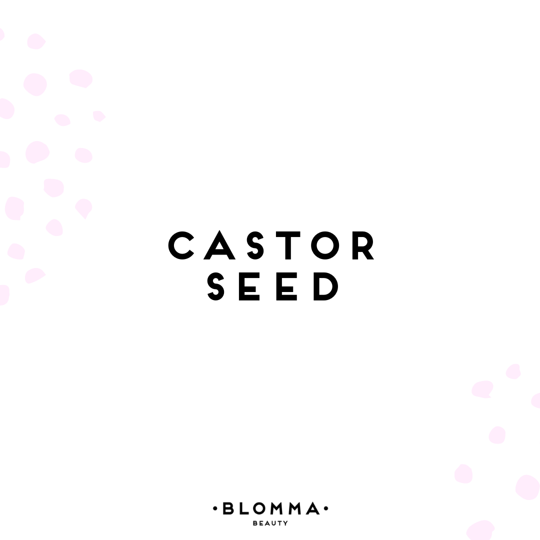 Castor Seed