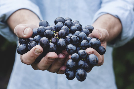 Grape Seed Oil