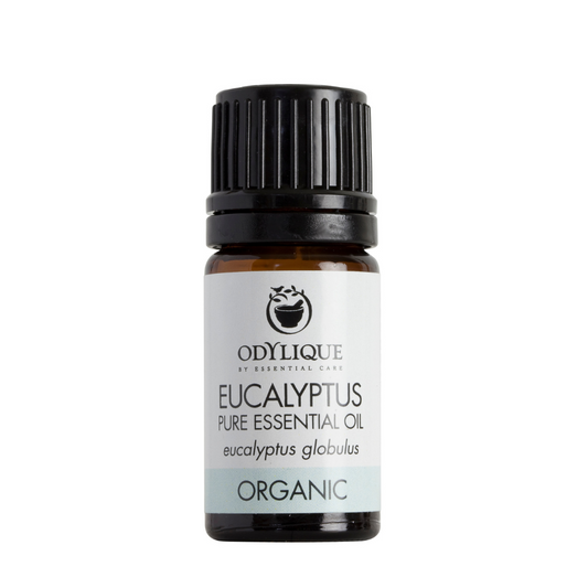 odylique Eucalyptus pure essential oil