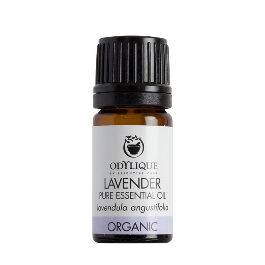 odylique Lavender essential oil
