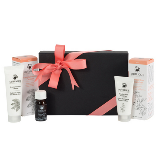 Odylique Rose Travel Set photographed on a white background. A group of the miniature products standing up next to the black kraft card gift box with pink ribbon. you can see boxes, tubes and a glass bottle of the organic skincare products that are contained in the kit