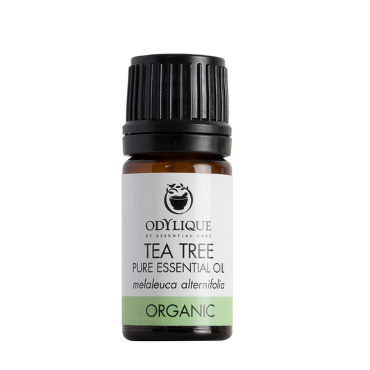 odylique tea tree pure essential oil