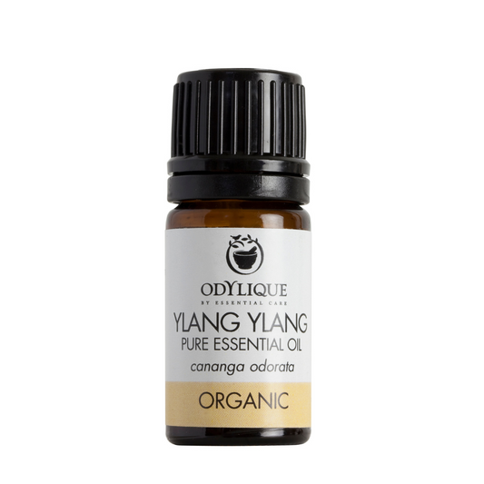 odylique Ylang Ylang pure essential oil