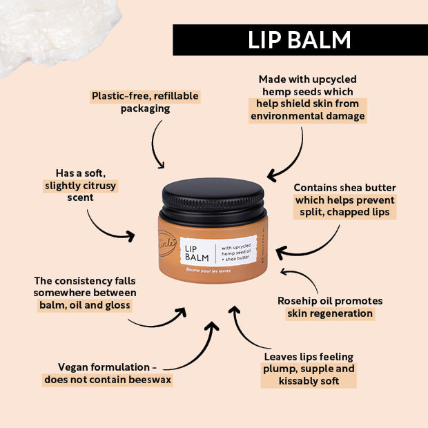 Infographic: The upchircle lip balm on a peach-colored background. There are several arrows presenting descriptive labels around the product. The labels highlight features such as plastic-free, refillable packaging, used hemp seeds, shea butter, a soft citrusy scent, vegan formulation, and rosehip oil benefits.