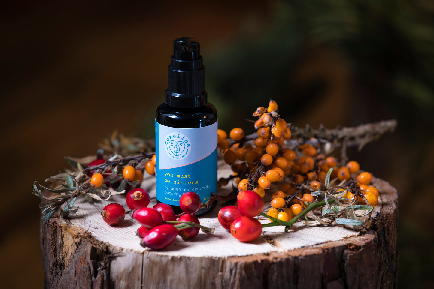 A blue-labeled dropper bottle of 'You Must Be Sisters' collagen and ceramide booster rests on a tree stump. Decorative branches with red and orange berries are arranged around the bottle, with a blurred background.