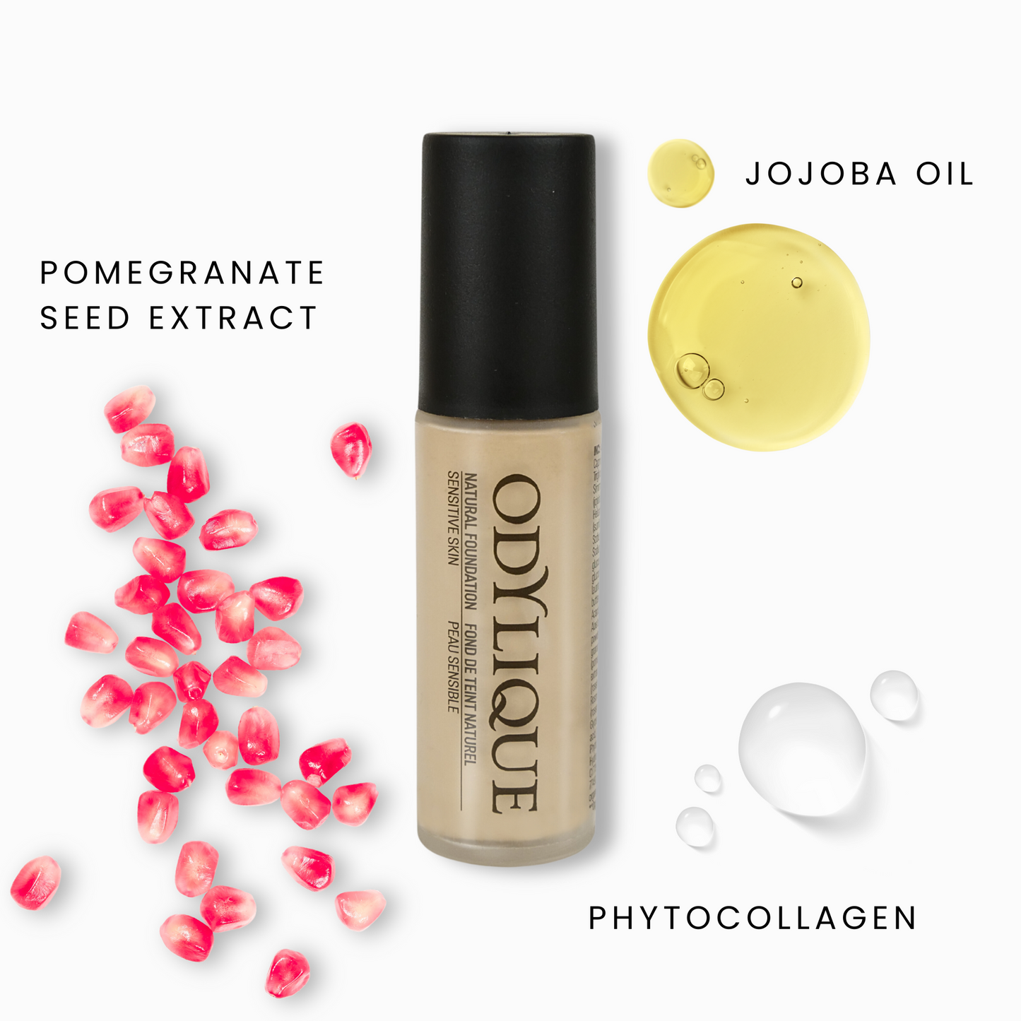 infographic showing the odylique natural liquid foundation on a white background with the natural ingredients within the product surrounding it. featuring jojoba oil, pomegranate seed extract and phytocollagen