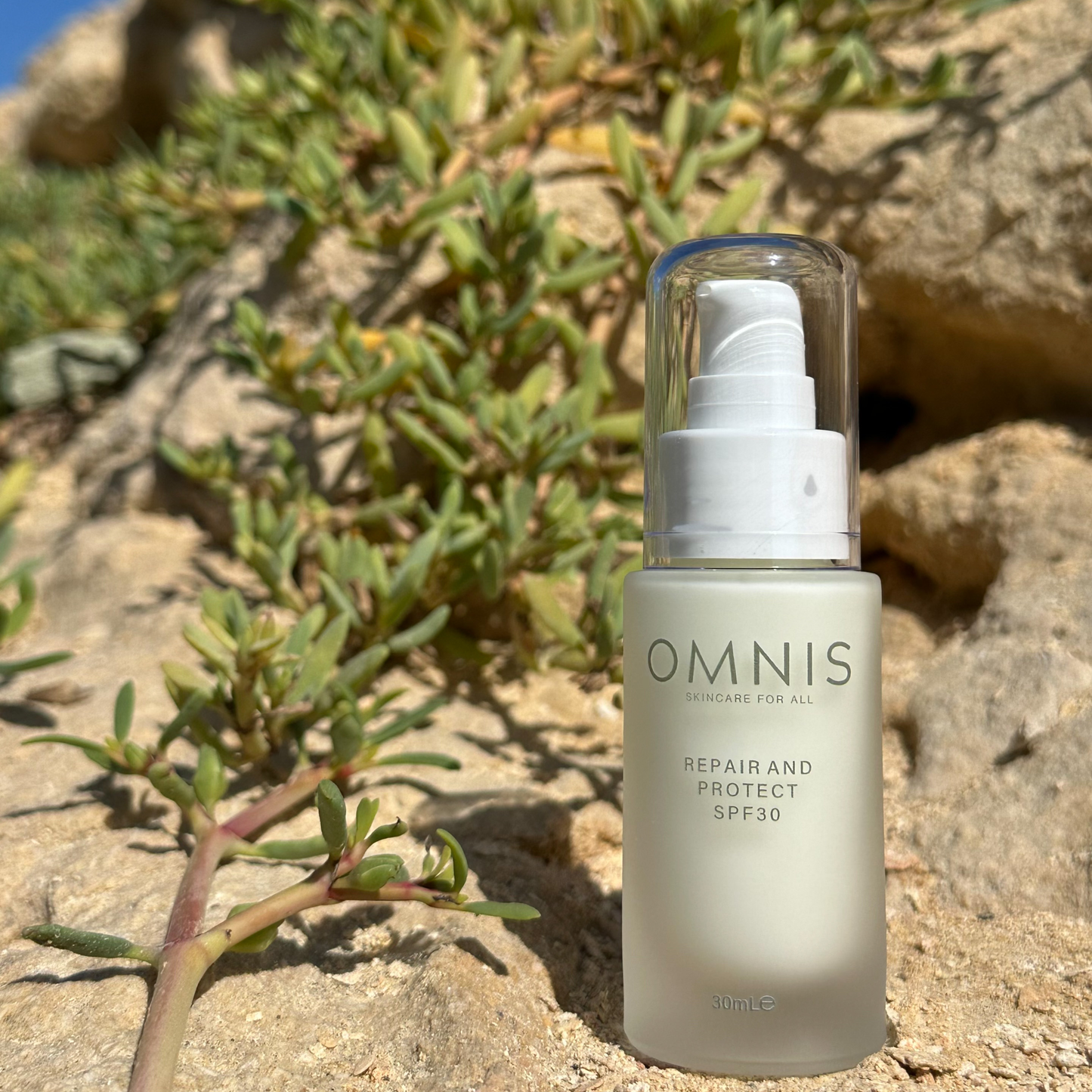Photo of the Omnis Repair & Protect SPF30 bottle sitting on a pale yellow rock next to the greenery growing out of it 