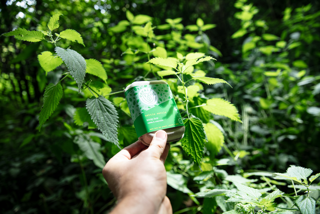 A hand holds a bar of the nettle settle soap amidst lush green foliage. The box’s design features green hues blending with the surrounding plants. 