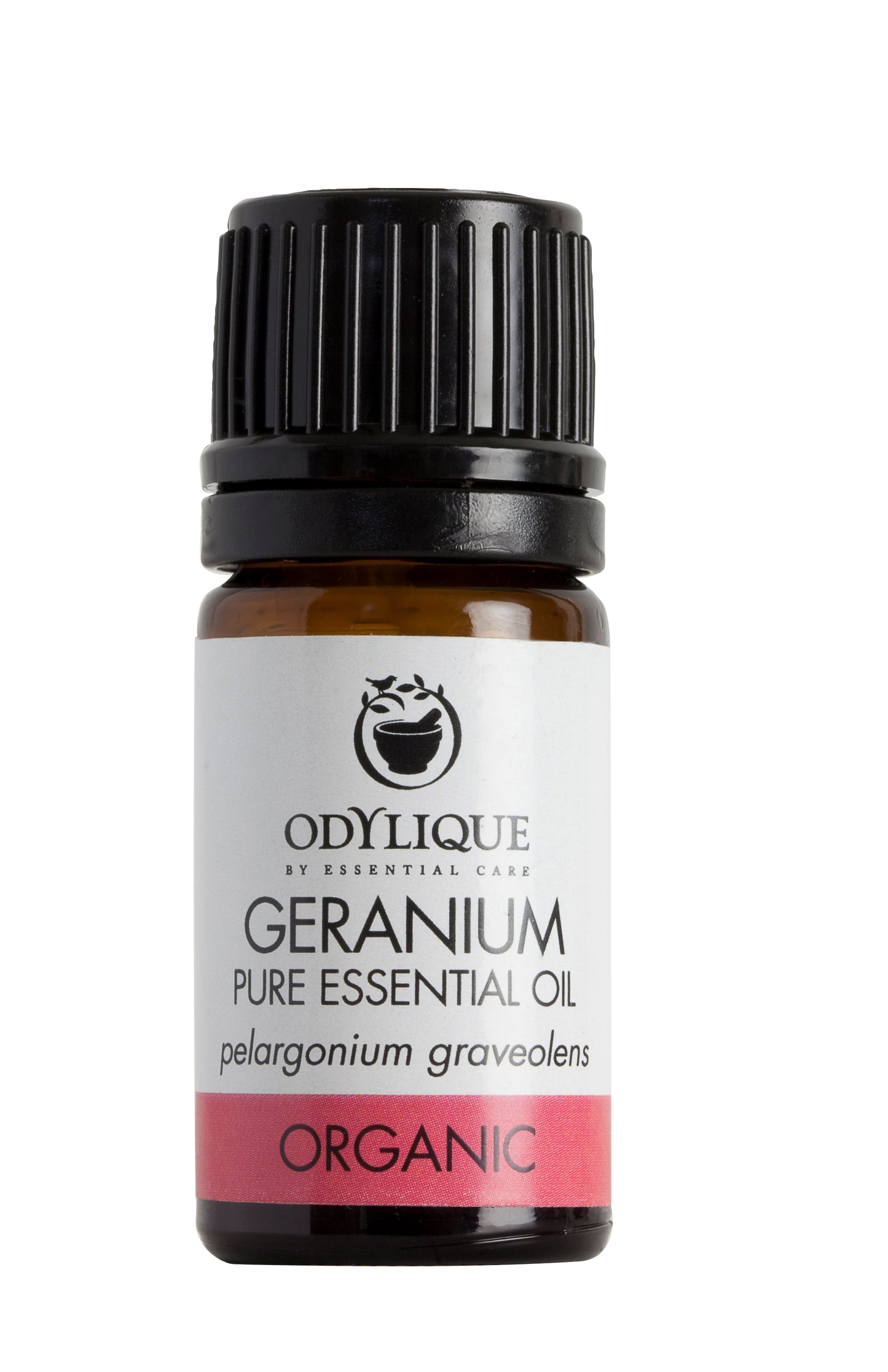 Organic Geranium Essential Oil