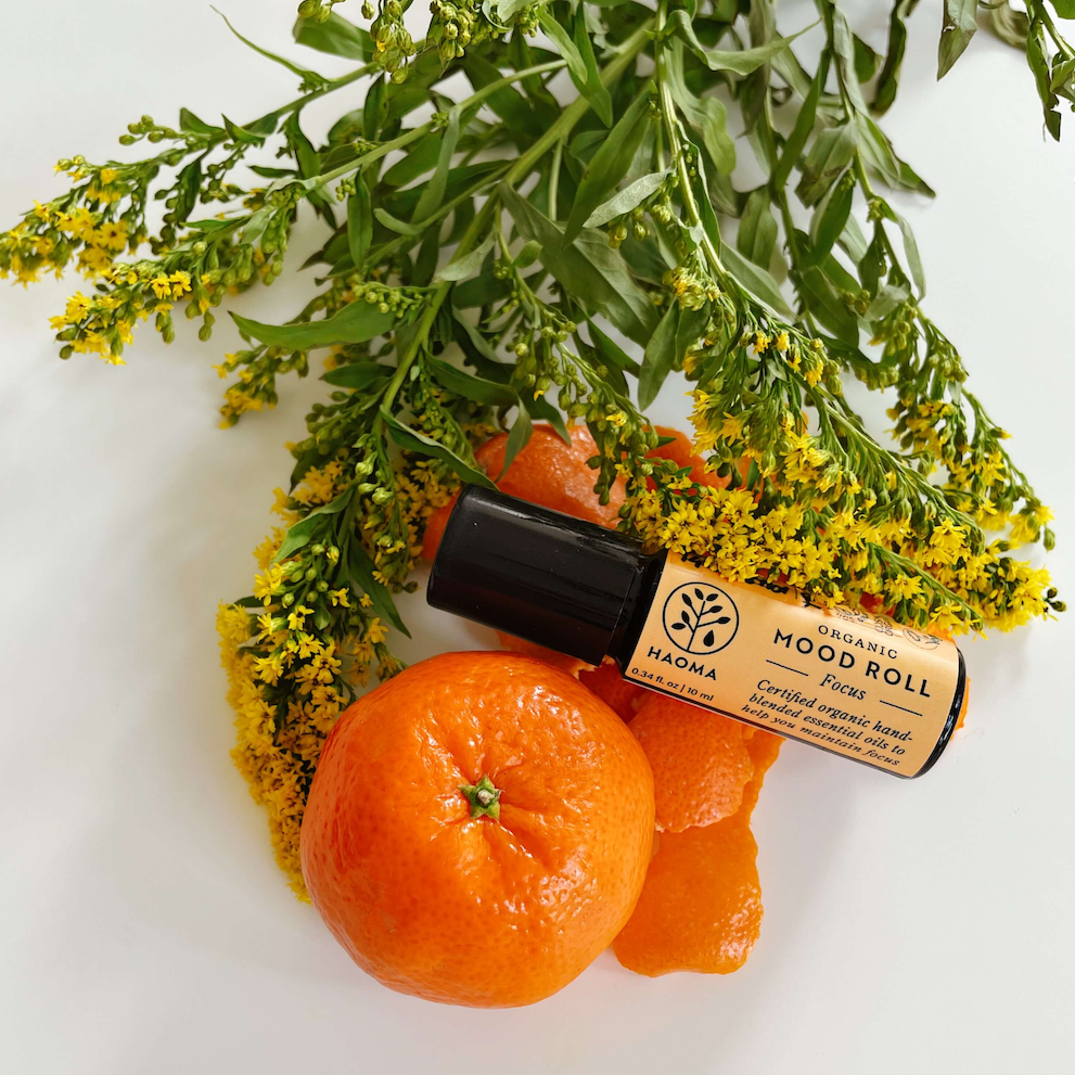 Haoma Aromatherapy Mood Rollers. Aromatherapy to keep you focused. The Focus mood roller is sitting on top of some oranges and safflowers.