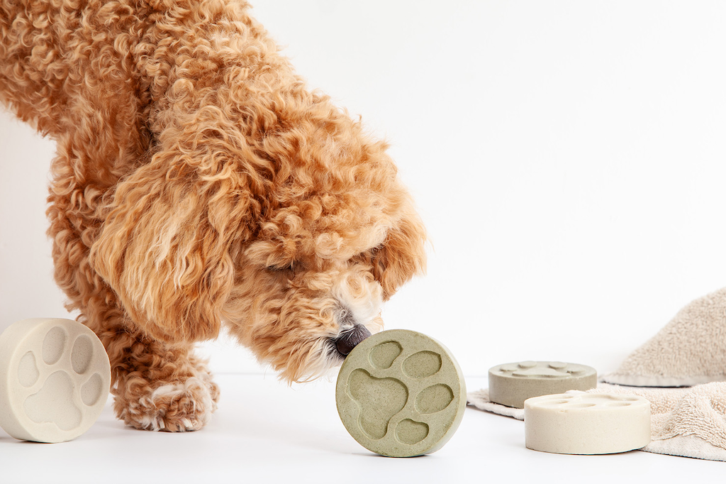 The Dog One - Fragrance Free Shampoo Bar