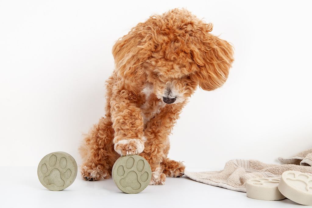 The Dog One - Fragrance Free Shampoo Bar