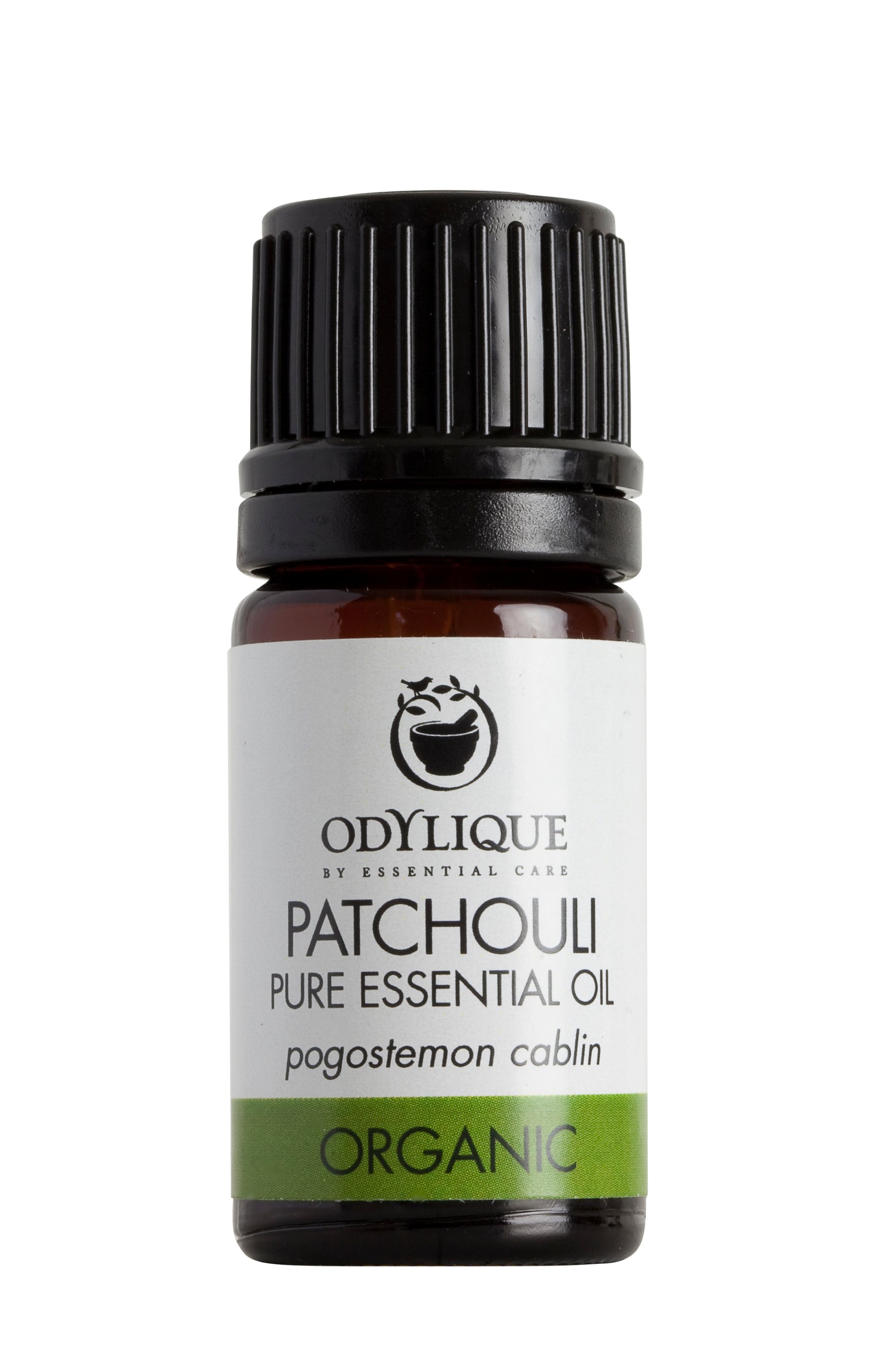 Organic Patchouli Essential Oil