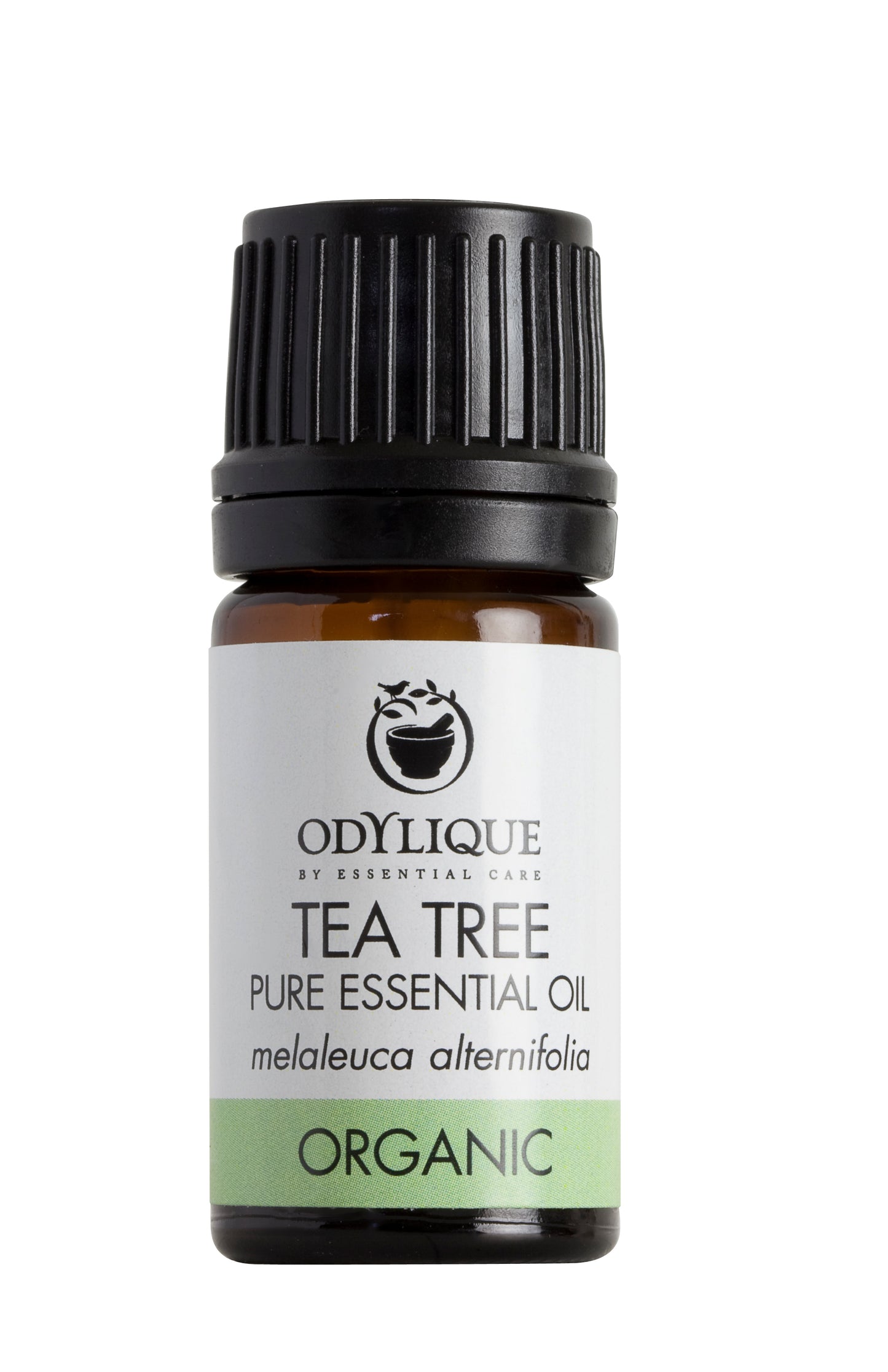 Organic Tea Tree Essential Oil